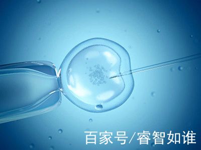 实验室3